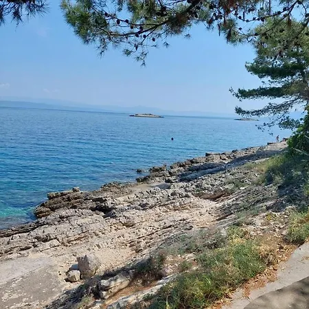 Διαμέρισμα Apartman Felicija Prigradica